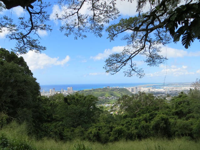 The Punchbowl seen from Tantalus