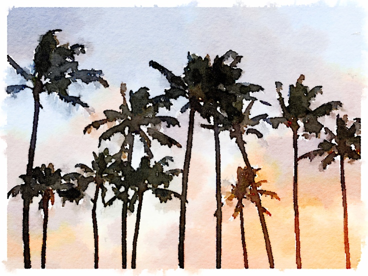 Sunset Palms in Poipu Kauai